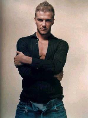 david